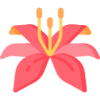 HTH华体会APP下载 logo
